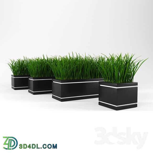 Plant - Decor Grass