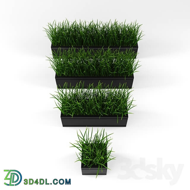 Plant - Decor Grass