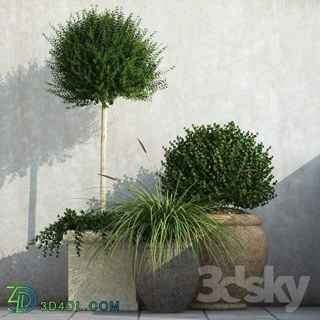 Plant - Outdoor Planters