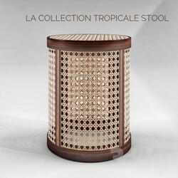 Chair - La collection tropicale stool 