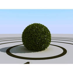 3dMentor HQPlants-01 (038) bush ball 