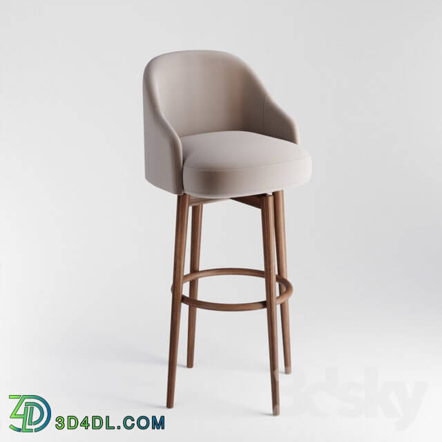 Chair - Saddle Bar _ Counter Stools