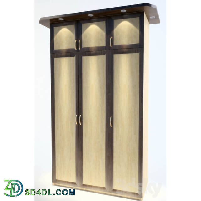 Wardrobe _ Display cabinets - Cabinet with split