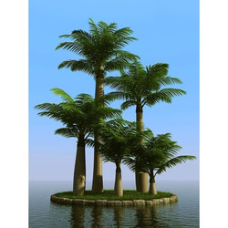 3dMentor HQPalms-03 (46) majesty palm 
