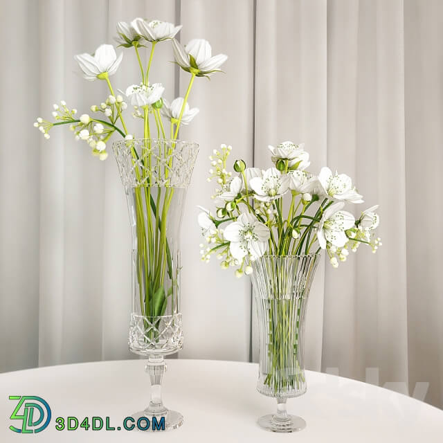 Plant - a bouquet of white flowers