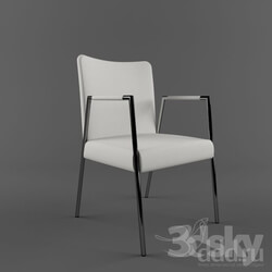 Chair - Modern dining chair 