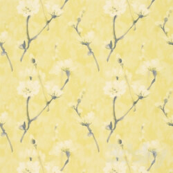 Wall covering - Sanderson Wallpaper 