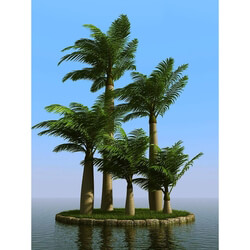 3dMentor HQPalms-03 (47) majesty palm wind 