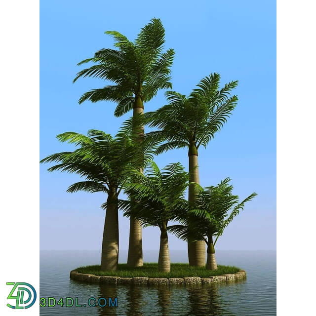 3dMentor HQPalms-03 (47) majesty palm wind