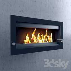 Fireplace - Bio Fireplace 