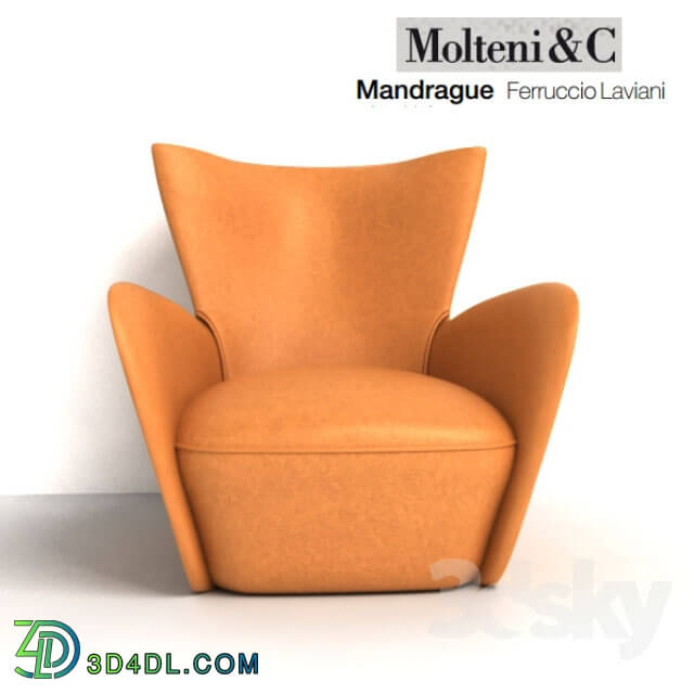 Arm chair - mandrague molteni