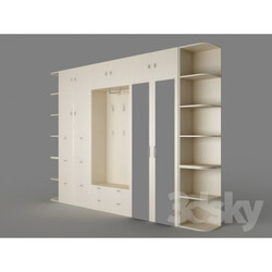 Wardrobe _ Display cabinets - Hall 