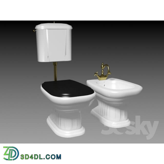 Toilet and Bidet - TOILET AND BIDET