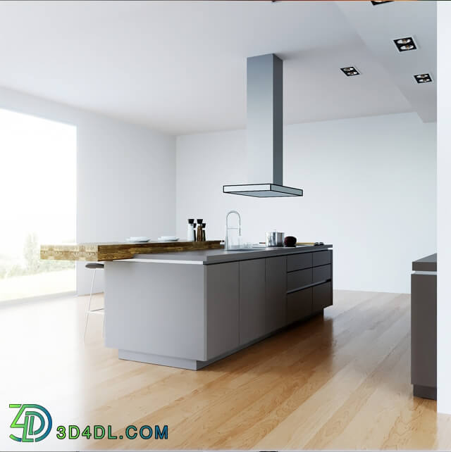 Kitchen - Goldreif by Poggenpohl Pure Kitchen _vray _ corona_