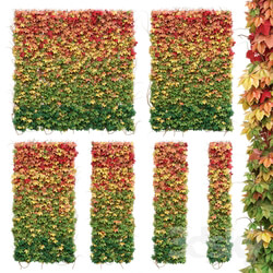 Plant - Wall from autumn leaves. Set of 6 models 