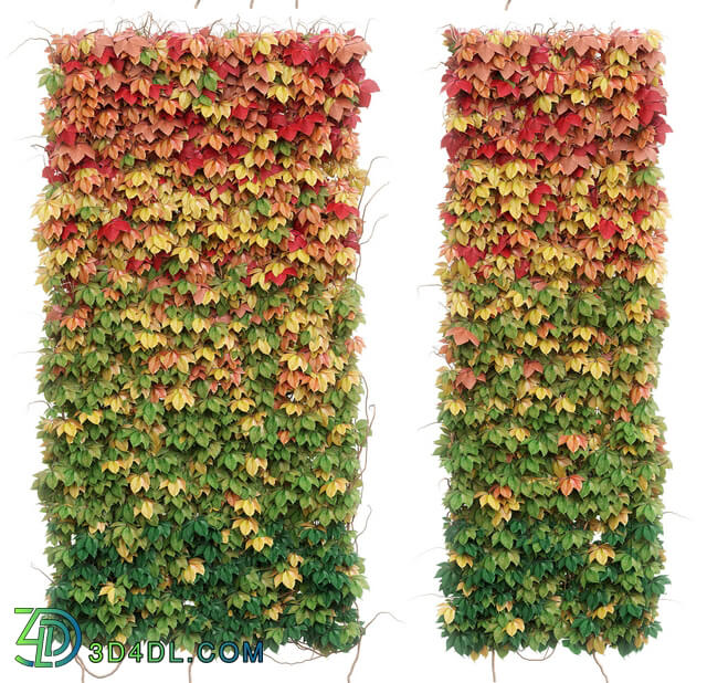 Plant - Wall from autumn leaves. Set of 6 models