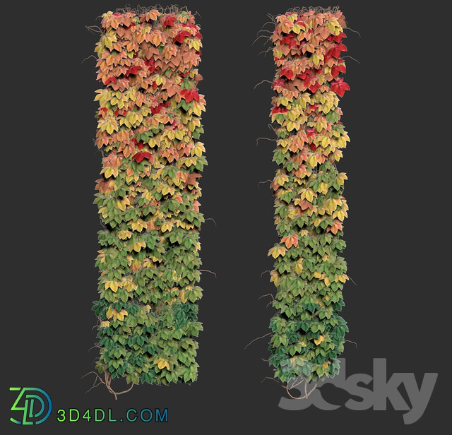 Plant - Wall from autumn leaves. Set of 6 models
