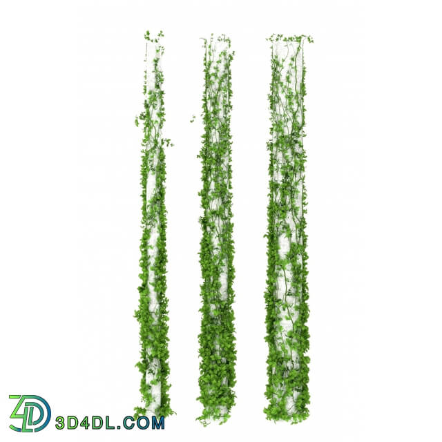 Plant - Leaves for columns. 6 sizes