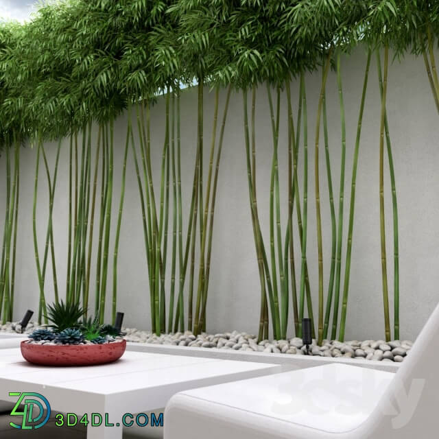 Other architectural elements - Bamboo wall