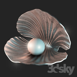 Other decorative objects - shell 