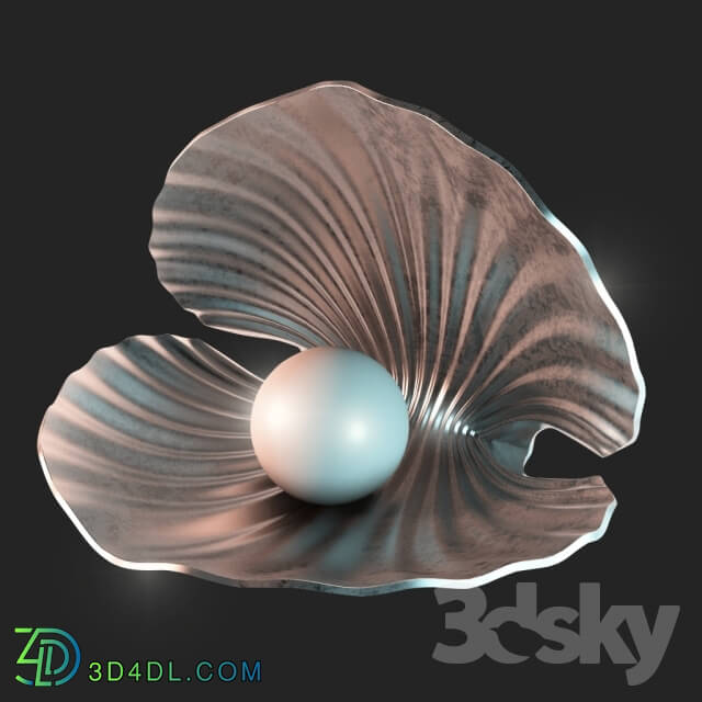 Other decorative objects - shell