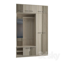 Wardrobe _ Display cabinets - hallway 