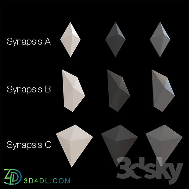 3D panel - Synapsis