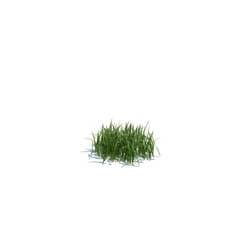 ArchModels Vol124 (103) simple grass small v1 