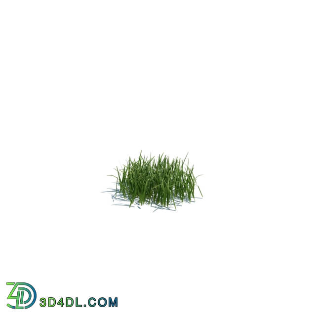 ArchModels Vol124 (103) simple grass small v1