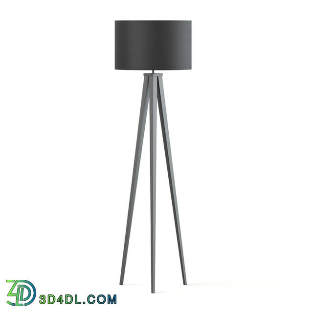 CGaxis Vol114 (18) black floor lamp