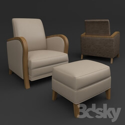 Arm chair - Designer Lounge Chair 