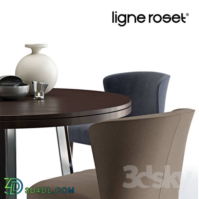 Table _ Chair - Ligne Roset CIRCO _ CIRCA and AVA