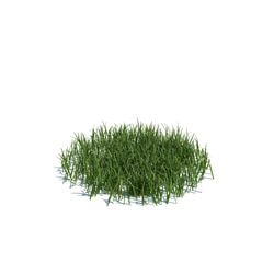 ArchModels Vol124 (104) simple grass medium v2 