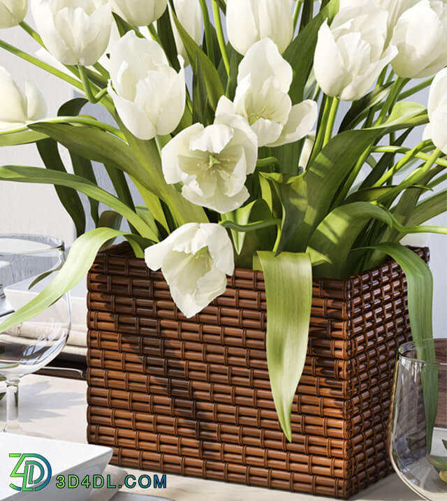 Tableware - Tableware with tulips