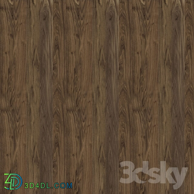 Wood - Texture of American walnut