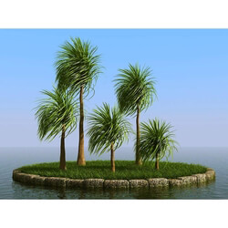 3dMentor HQPalms-03 (53) ponytail palm wind 