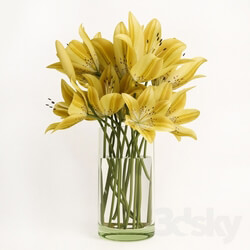 Plant - Bouquet of yellow lilies 