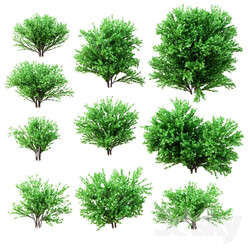 Plant - A set of bushes. 10 models 