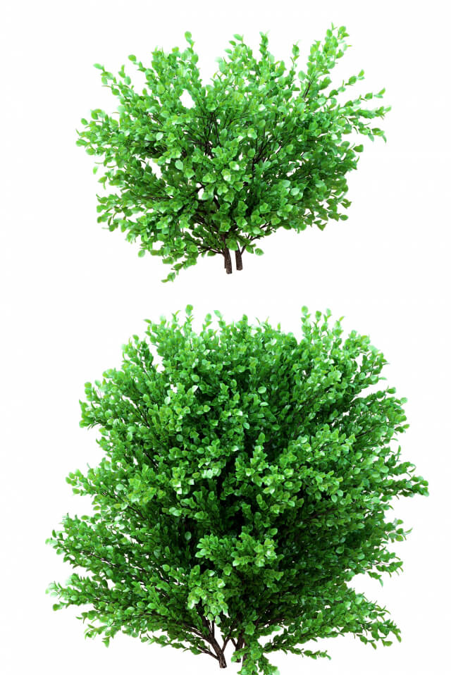 Plant - A set of bushes. 10 models