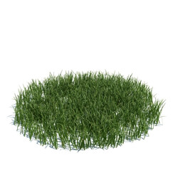 ArchModels Vol124 (105) simple grass large v3 