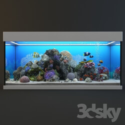 Other decorative objects - Marine Aquarium 