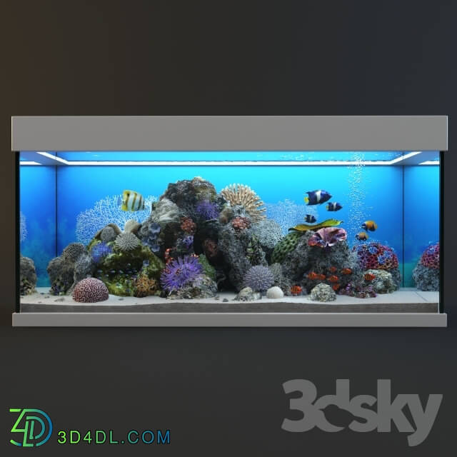 Other decorative objects - Marine Aquarium