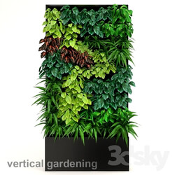 Plant - Vertical gardening 2 