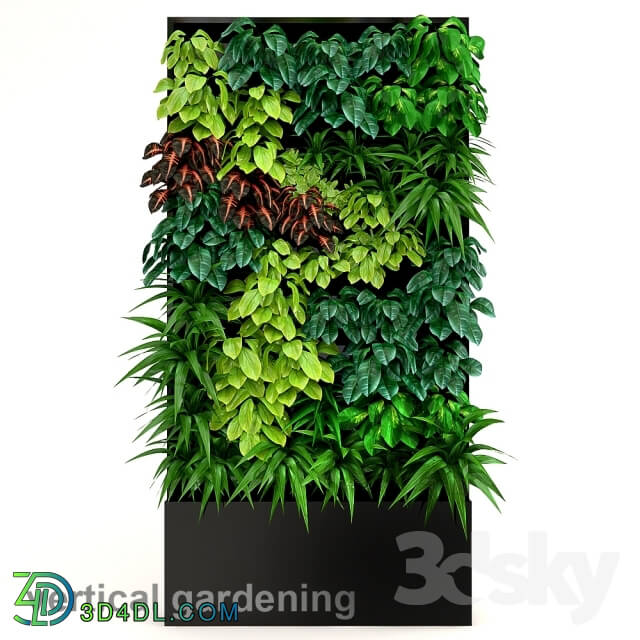 Plant - Vertical gardening 2