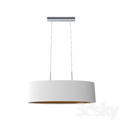 Ceiling light - 95046 Suspension MASERLO_ 2х60W _E27__ 750х220_ nickel matt _ textile_ white 