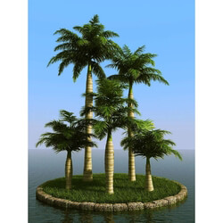 3dMentor HQPalms-03 (54) royal palm 
