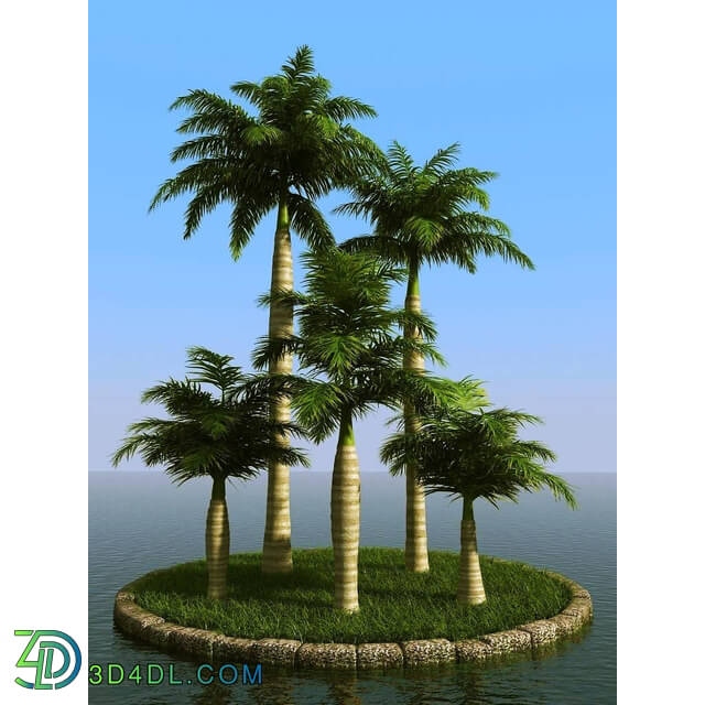3dMentor HQPalms-03 (54) royal palm