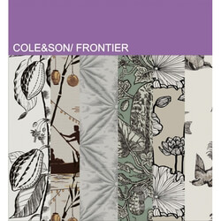 Wall covering - Cole_Son_ Frontier 