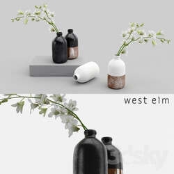 Plant - Westelm vases with Orchids 