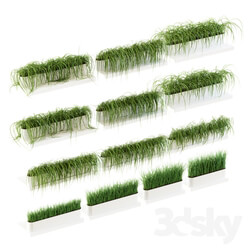Plant - Grass for shelves. 13 models of v2 